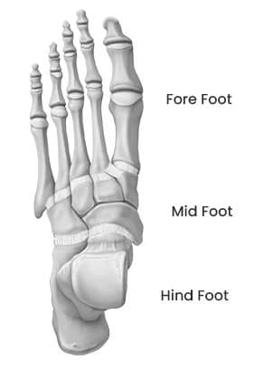 Foot and Ankle Solutions